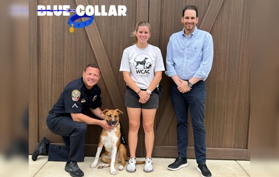 Franklin Police Partner with Williamson County Animal Shelter to Boost Pet Adoptions in Online "Blue-Collar" Series