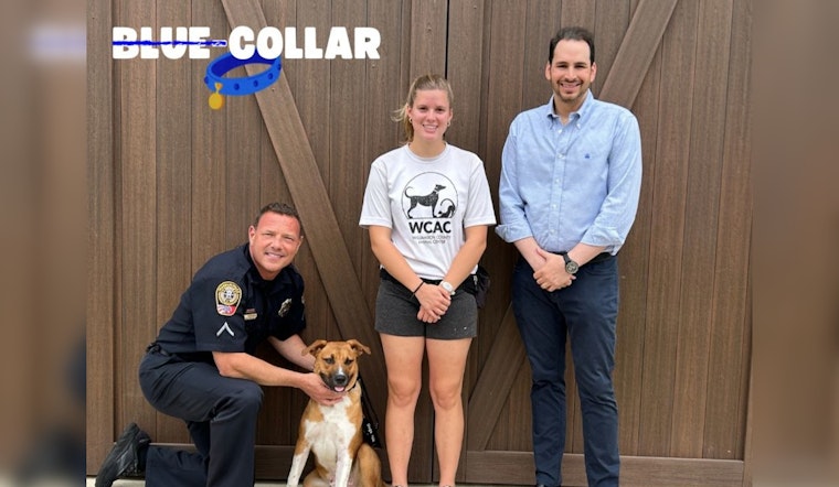 Franklin Police Partner with Williamson County Animal Shelter to Boost Pet Adoptions in Online "Blue-Collar" Series