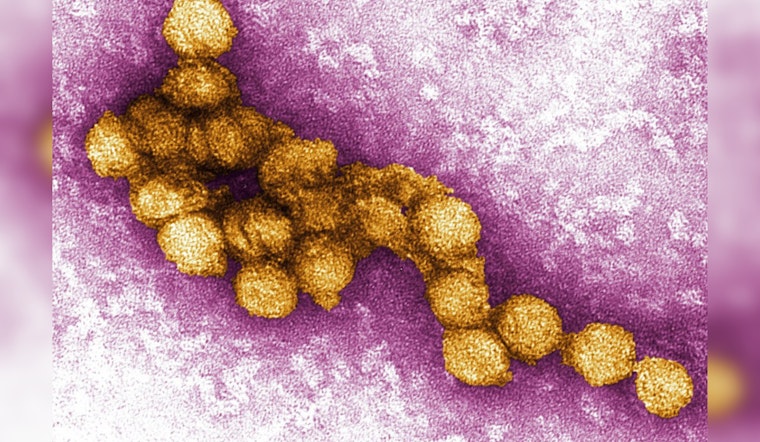 Fulton County Ramps Up Efforts to Combat West Nile Virus with Community Education and Prevention Tactics