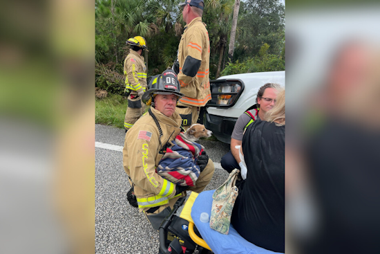 Geneva Firefighter Extends Heroic Efforts to Save Dog After Mims Traffic Accident