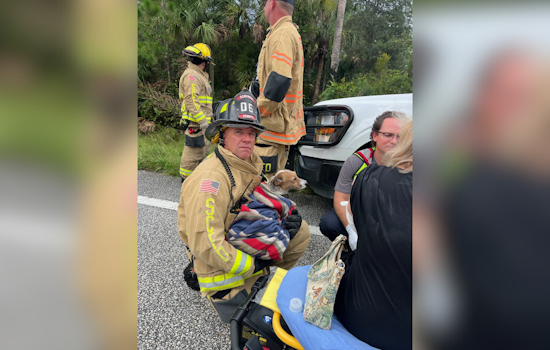 Geneva Firefighter Extends Heroic Efforts to Save Dog After Mims Traffic Accident
