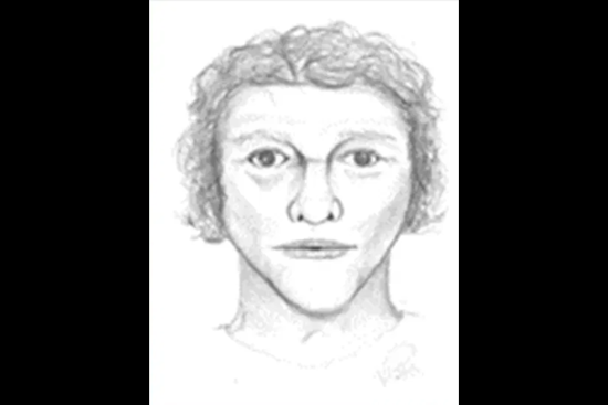 Genoa Township Police Seek Public's Help to Identify Suspect in Post-Collision Assault and Robbery Near Twin Bridges