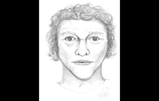 Genoa Township Police Seek Public's Help to Identify Suspect in Post-Collision Assault and Robbery Near Twin Bridges