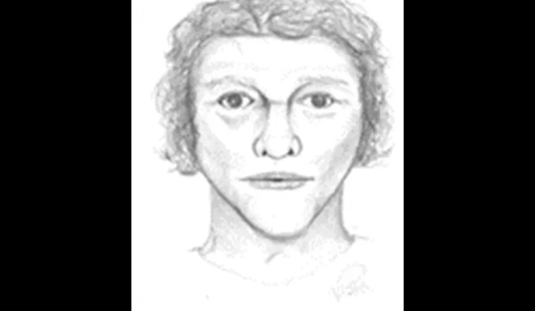 Genoa Township Police Seek Public's Help to Identify Suspect in Post-Collision Assault and Robbery Near Twin Bridges