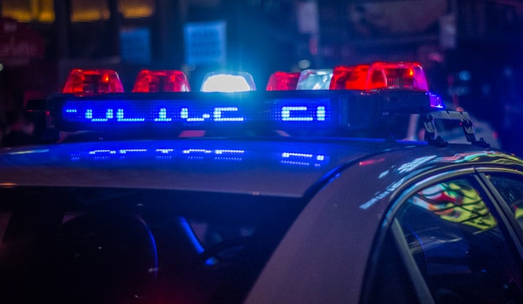 Georgia Bureau of Investigation Probes Death of Man After K-9 Bite During Arrest in South Georgia