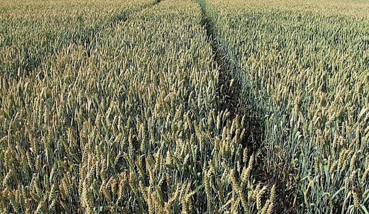 Georgia Senate Study Committee Convenes at Sunbelt Expo to Discuss Farmland Preservation