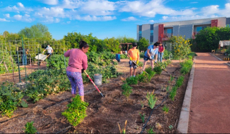 Glendale's Community Garden Flourishes as a Beacon of Health, Education, and Togetherness