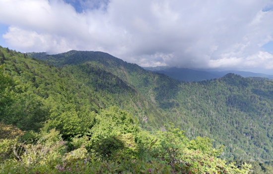 Great Smoky Mountains National Park's Flint Gap Fire 75% Contained, Area Closures Persist