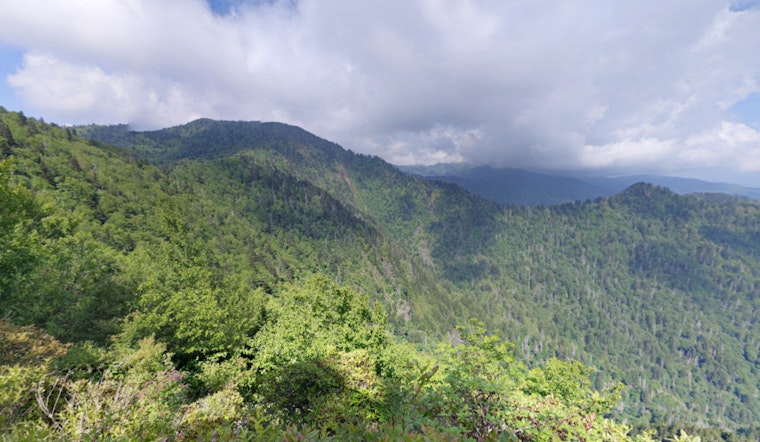 Great Smoky Mountains National Park's Flint Gap Fire 75% Contained, Area Closures Persist