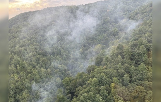 Great Smoky Mountains Wildfire Grows to 46 Acres, Challenging Firefighters Amid Limited Support
