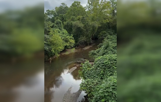 Green Oasis on the Horizon as Woodstock Unveils Plans for 110-Acre Little River Park