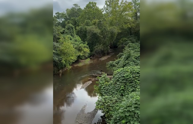 Green Oasis on the Horizon as Woodstock Unveils Plans for 110-Acre Little River Park