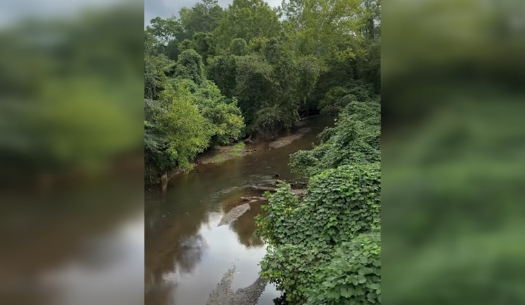 Green Oasis on the Horizon as Woodstock Unveils Plans for 110-Acre Little River Park