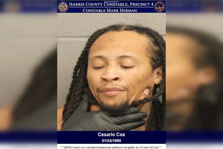 Harris County Deputies Arrest Hit and Run Suspect Thanks to Vigilant Witness Intervention
