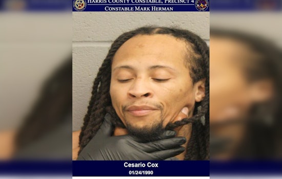 Harris County Deputies Arrest Hit and Run Suspect Thanks to Vigilant Witness Intervention
