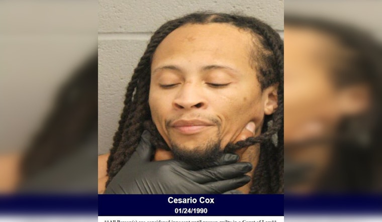 Harris County Deputies Arrest Hit and Run Suspect Thanks to Vigilant Witness Intervention