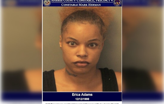 Harris County Law Enforcement Arrest Woman Suspected of Trafficking Minor in Sex Trade