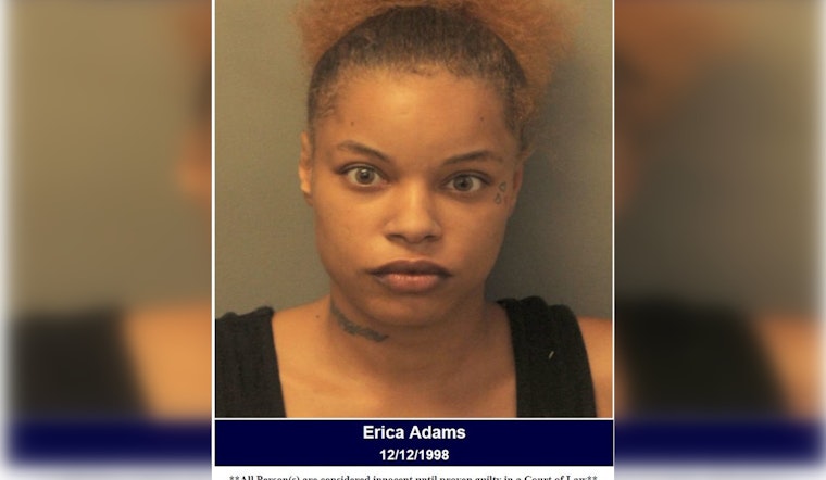 Harris County Law Enforcement Arrest Woman Suspected of Trafficking Minor in Sex Trade