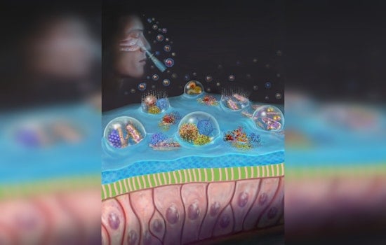 Harvard-Affiliated Scientists Develop Nasal Spray That Could Block Respiratory Pathogens