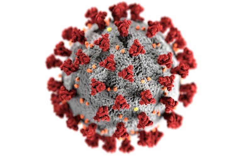 Harvard Study Finds Weight-Loss Drug Wegovy May Significantly Reduce COVID Deaths