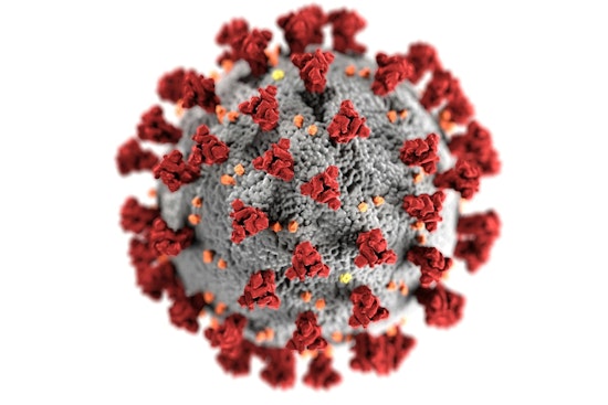 Harvard Study Finds Weight-Loss Drug Wegovy May Significantly Reduce COVID Deaths