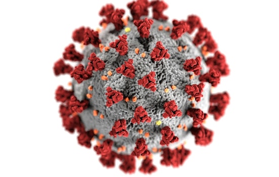 Harvard Study Finds Weight-Loss Drug Wegovy May Significantly Reduce COVID Deaths