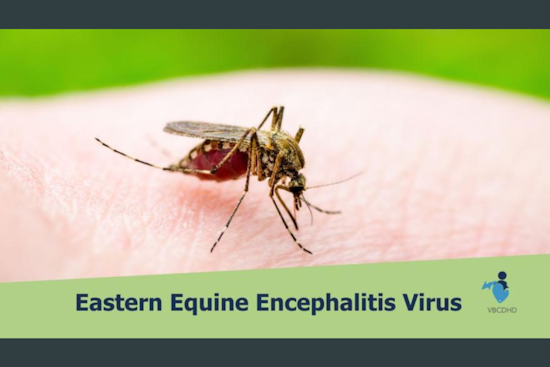Health Officials in Van Buren, Cass, and Kalamazoo Counties Warn of Mosquito-Borne Disease Risks and Urge Precautions
