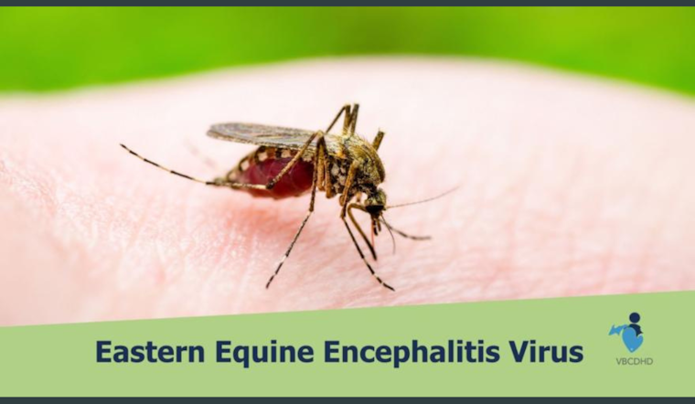 Health Officials in Van Buren, Cass, and Kalamazoo Counties Warn of Mosquito-Borne Disease Risks and Urge Precautions