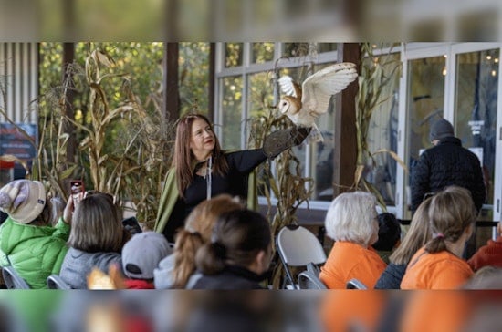 Hillsboro Sets the Scene for Enchanting October with Full Slate of Halloween Events