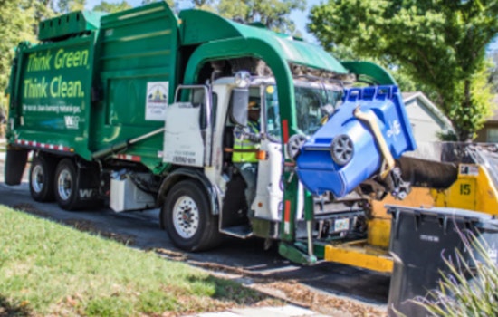 Hillsborough County Resumes Waste Collection After Hurricane Helene, Debris Disposal Advisory