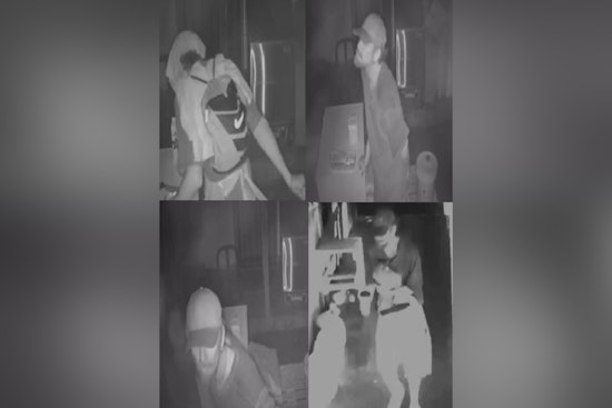 Hilo Police Seek Public's Help to Identify Suspect in Kaumana Drive Burglary Case