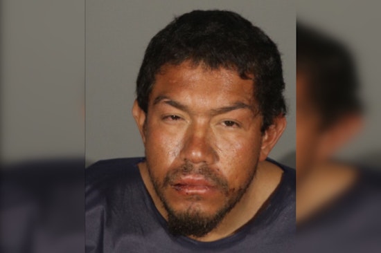 Homeless Man Charged with Multiple Felony Assaults in Santa Monica
