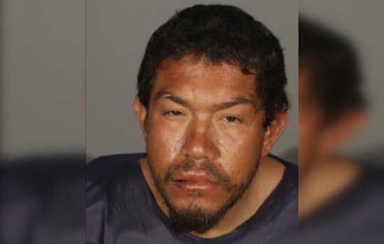 Homeless Man Charged with Multiple Felony Assaults in Santa Monica