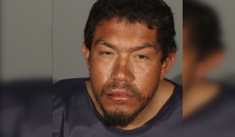 Homeless Man Charged with Multiple Felony Assaults in Santa Monica