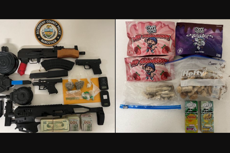 Homestead Hub for Illegal Substances Raided, Suspected Dealer Arrested Amid Firearms and Drugs Seizure