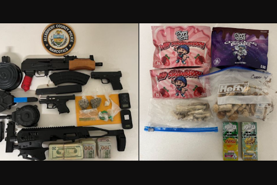 Homestead Hub for Illegal Substances Raided, Suspected Dealer Arrested Amid Firearms and Drugs Seizure