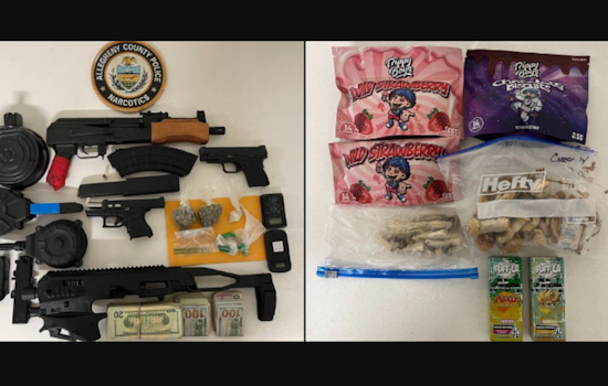 Homestead Hub for Illegal Substances Raided, Suspected Dealer Arrested Amid Firearms and Drugs Seizure