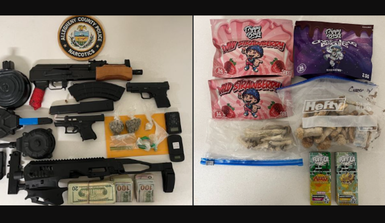 Homestead Hub for Illegal Substances Raided, Suspected Dealer Arrested Amid Firearms and Drugs Seizure