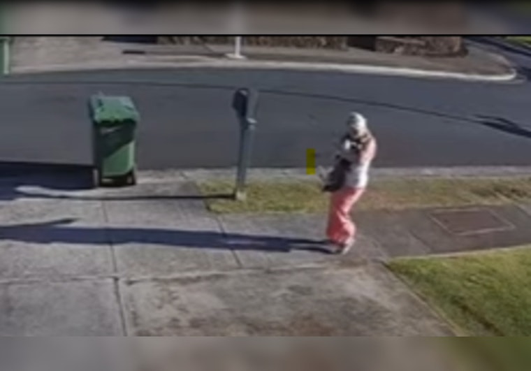 Honolulu Authorities Seek Public's Help to Identify Suspect Accused of Animal Cruelty in Waipahu