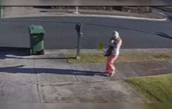 Honolulu Authorities Seek Public's Help to Identify Suspect Accused of Animal Cruelty in Waipahu
