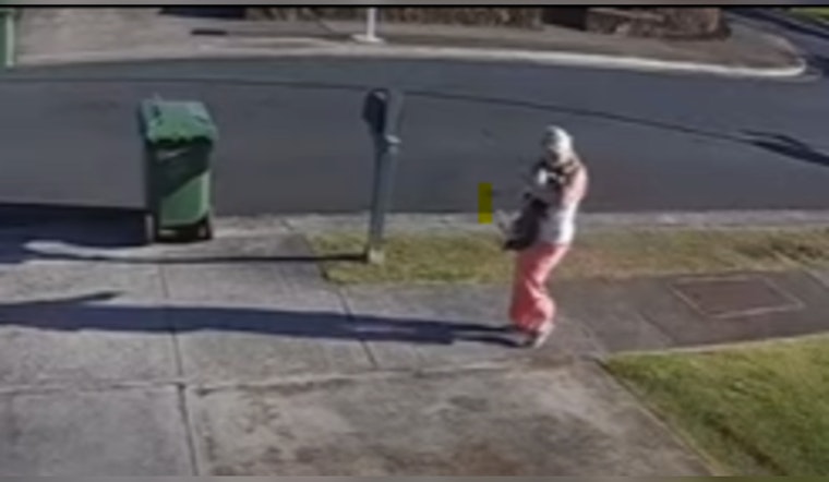 Honolulu Authorities Seek Public's Help to Identify Suspect Accused of Animal Cruelty in Waipahu