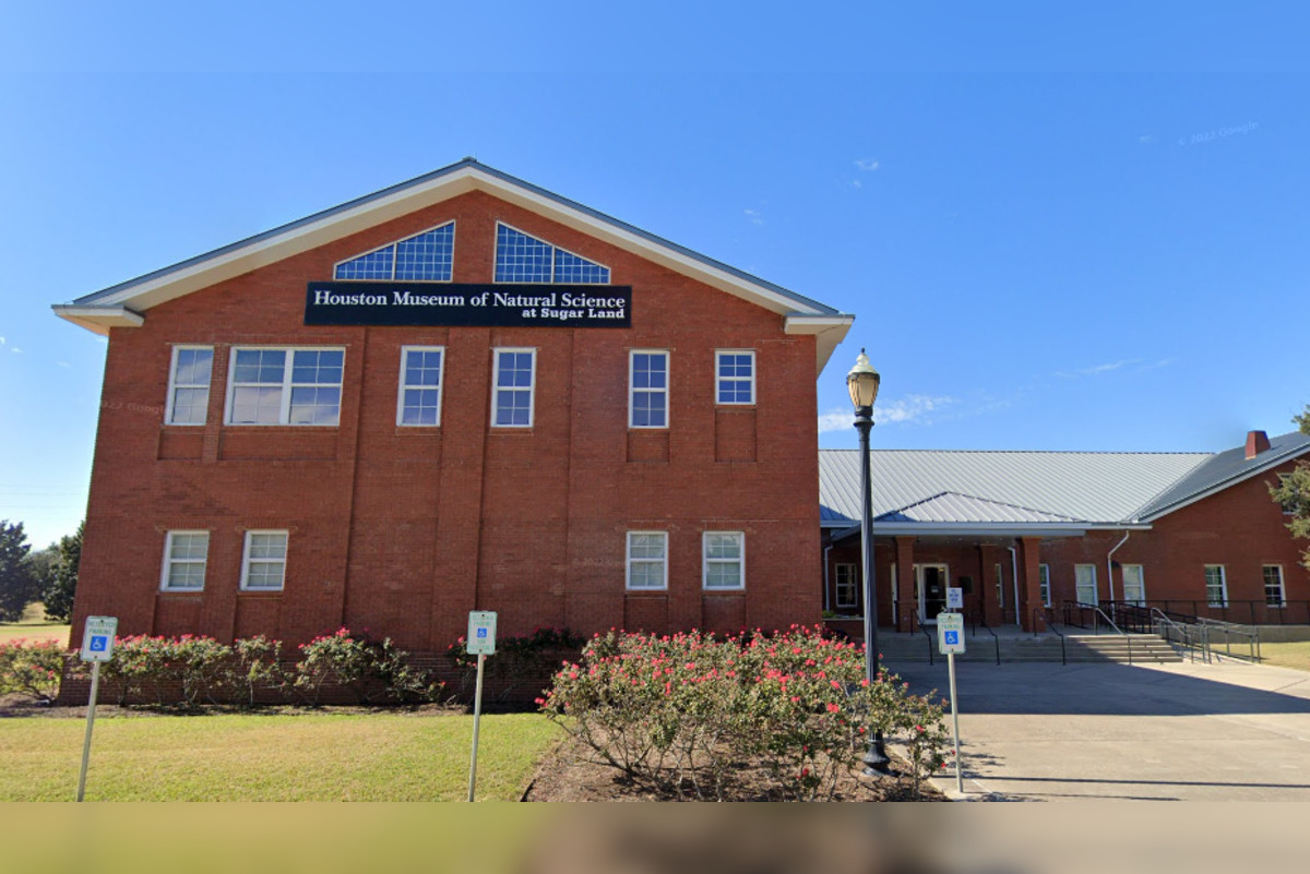 Unlock Dutch Museums with Museumkaart: Your Key to Affordable Cultural Discovery