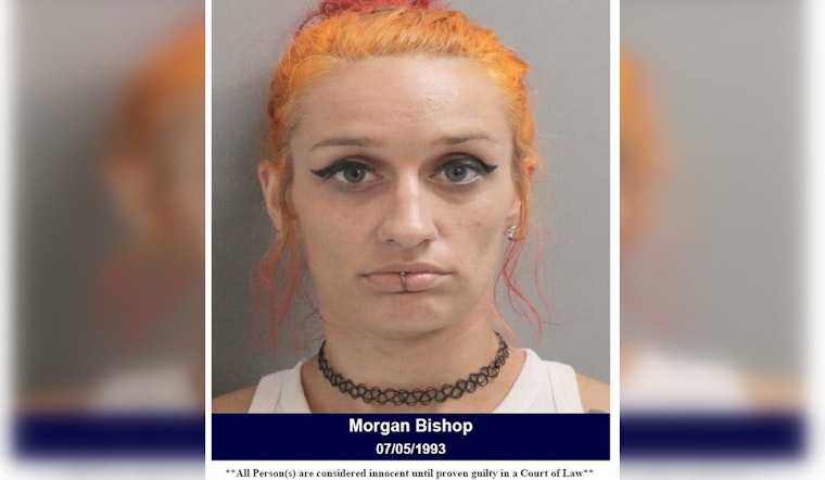 Houston Area Woman Arrested for Felony Drug Possession After Traffic Stop on Will Clayton Parkway