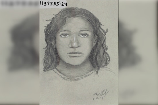Houston Police Seek Help to Apprehend Suspect in Memorial Park Jogger Assault