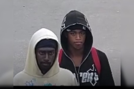 Houston Police Seek Public Help to Identify Persons of Interest in August Fatal Shooting on North Wayside Drive