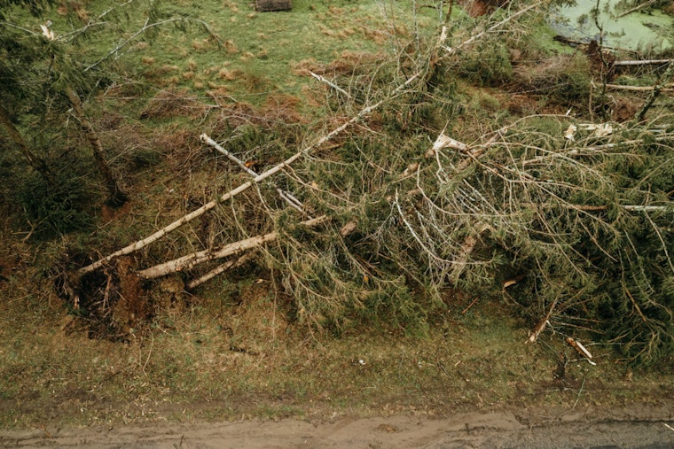 Hurricane Helene's Wrath, 40 Lives Lost as Southeast Faces Darkness and Destruction