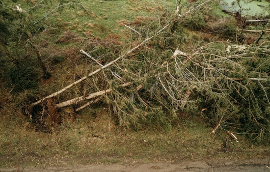 Hurricane Helene's Wrath, 40 Lives Lost as Southeast Faces Darkness and Destruction