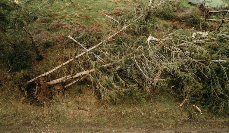 Hurricane Helene's Wrath, 40 Lives Lost as Southeast Faces Darkness and Destruction