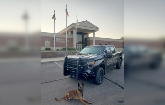 Illinois Man Faces Charges After Canine Unit Detects Heroin and Fentanyl on I-94 in Calhoun County