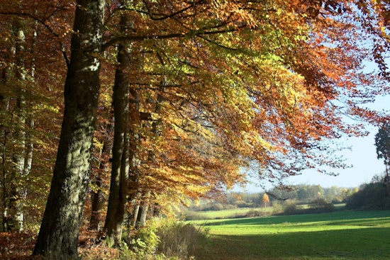 Indianapolis Enjoys an Indian Summer with Temperatures Set to Hit Near 90 Degrees